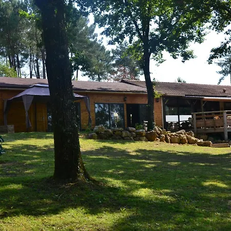 Domaine Des Grands Pins פארק נופש Tamniès