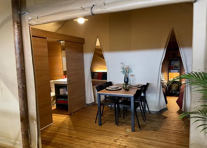 Domaine Des Grands Pins 4* Tamniès